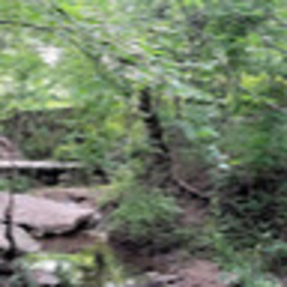 Meet your Posher, Ji